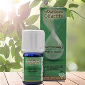 Herbes et Traditions - Quantiques Olfactifs - Dsacoutumance - 5ml