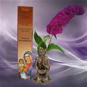 Aromatika Vedic - Encens Naturel Marie Mre de Dieu