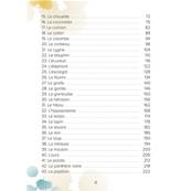 La Prophétie des Animaux - Coffret 56 Cartes - Illyzziah