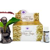 Green Tree - Huile Parfume White Sage Sauge Blanche - Box de 12