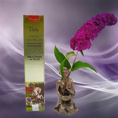 Aromatika Vedic - Encens Naturel St Georges