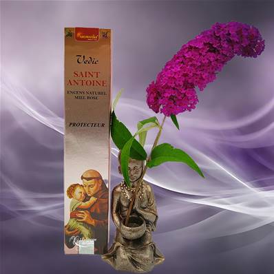 Aromatika Vedic - Encens Naturel St Antoine Protecteur