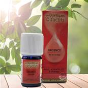 Herbes et Traditions - Quantiques Olfactifs - Urgence - 5ml