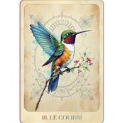 La Prophétie des Animaux - Coffret 56 Cartes - Illyzziah