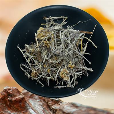 Immortelle - Helichrysum Italicum - 50g
