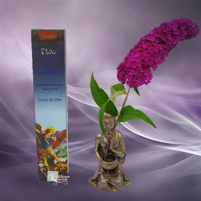 Aromatika Vedic - Encens Naturel St Michel