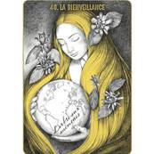 Akasha L'Oracle des Mémoires Akashiques - Emily Nicolle